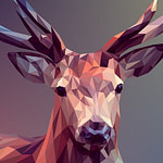 graphic designer